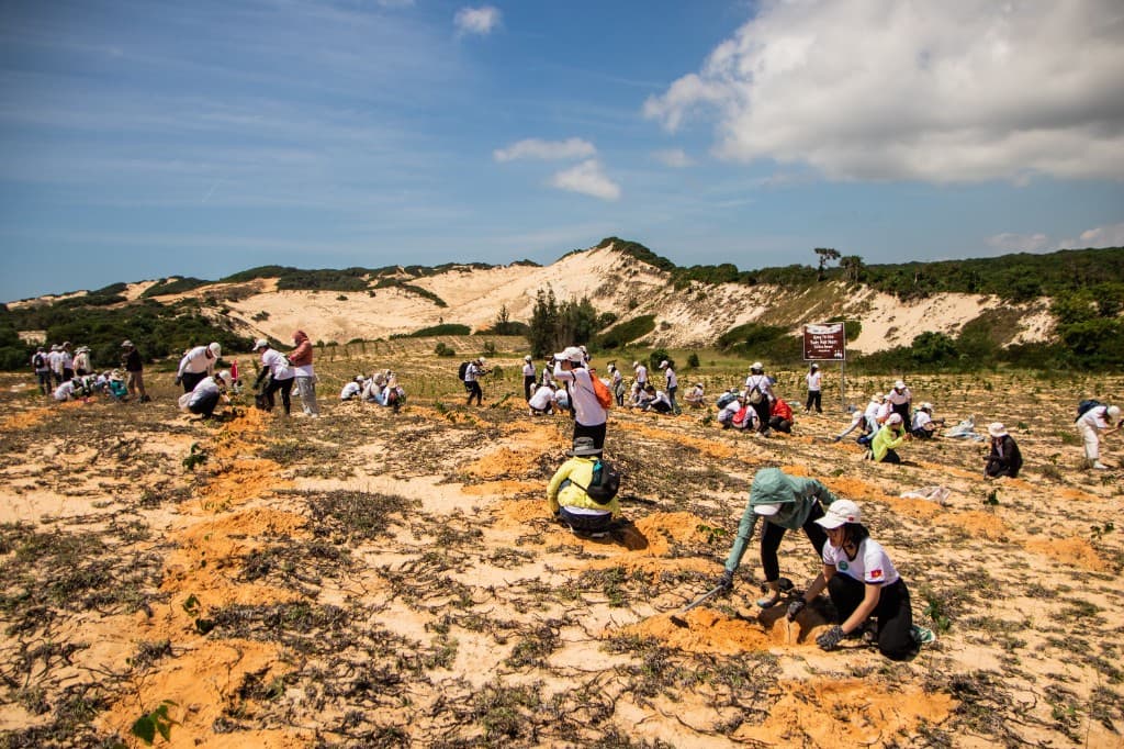 Large group of volunteers planting
